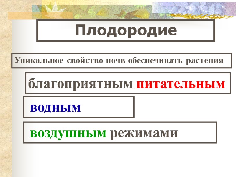 Плодородие   Уникальное свойство почв обеспечивать растения  благоприятным питательным   водным